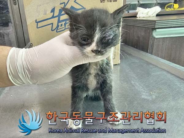 종료(자연사) 한국…
